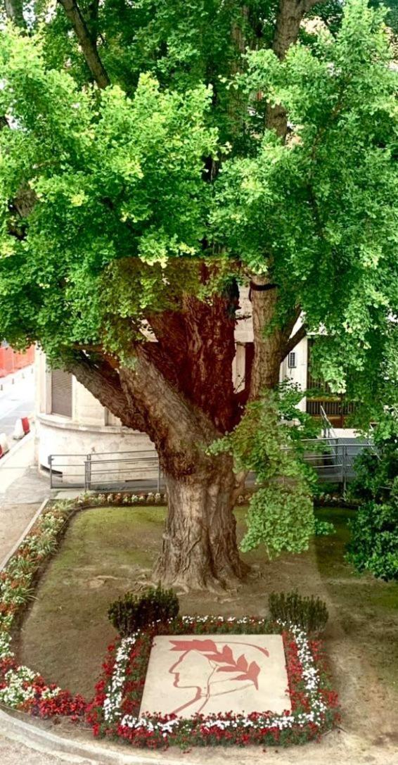 Ravenna Suite Εξωτερικό φωτογραφία